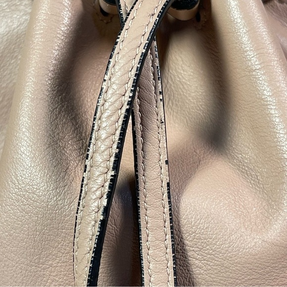 Cuyana Mini Bucket Bag Drawstring Leather Purse in Nude color soft Leather - Picture 12 of 12